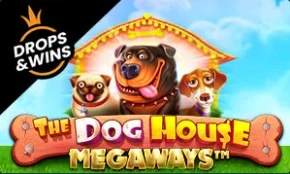Spinbetter the dog house megaways